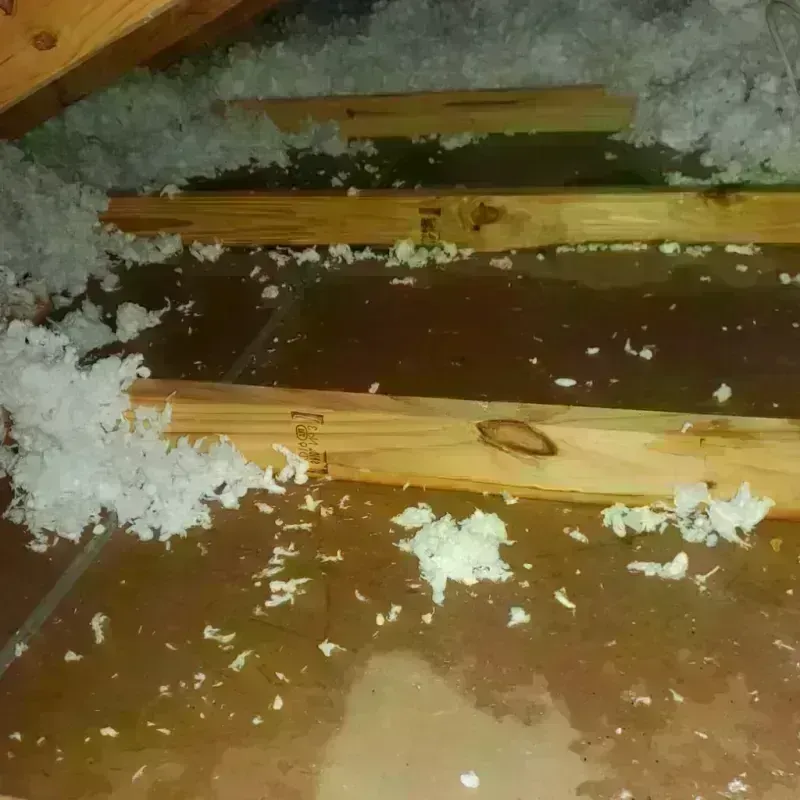 Attic Water Damage in Williamson County, TN