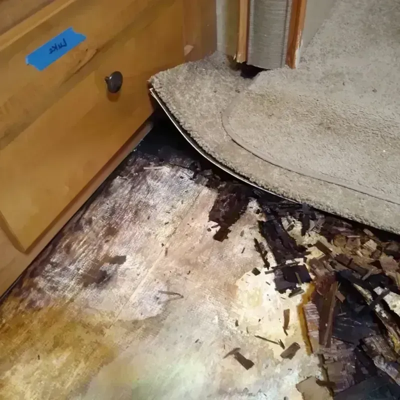 Best Wood Floor Water Damage Service in Williamson County, TN